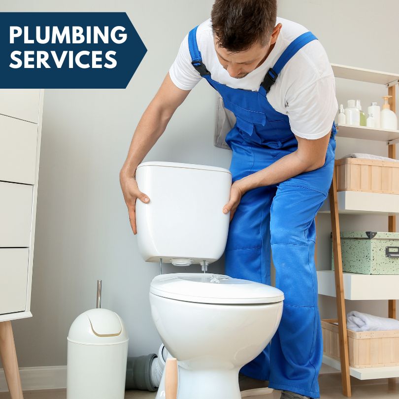Plumbing Company in Council, ID